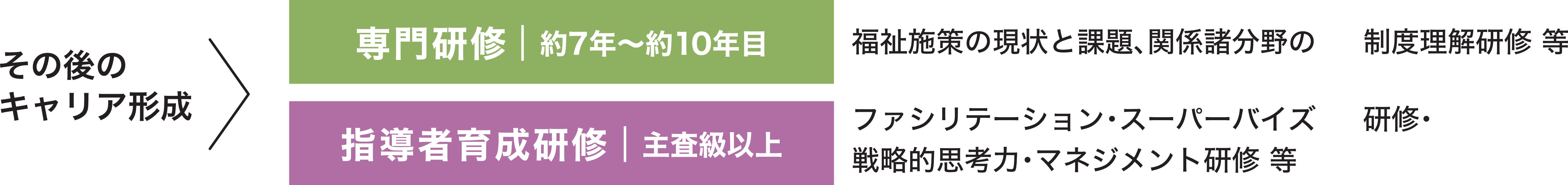 約7年〜約10年目 福祉施策の現状と課題、関係諸分野の制度理解研修 等 主査級以上 ファシリテーション・スーパーバイズ研修・戦略的思考力・マネジメント研修 等